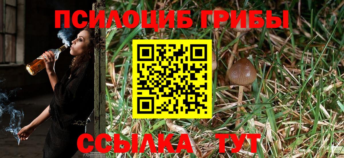 что такое наркотик  Вход с VPN  Вышний Волочёк  Галлюциногенные грибы Psilocybine cubensis 